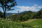 Paesaggio Paesaggio