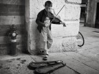 Ragazzo con violino