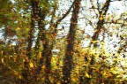 autunno autunno