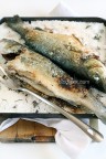 Fish on the salt Fish on the salt