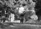 s.t. s.t.