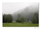 Silenzio Silenzio