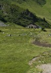 Baita nel verde Baita nel verde