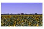 Casetta di campagna... Casetta di campagna...