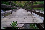 sbucando dal ponte sbucando dal ponte