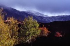 AUTUNNO NEL PARCO AUTUNNO NEL PARCO