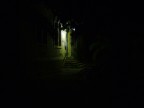 luce nella notte silenziosa di un bosco luce nella notte silenziosa di un bosco