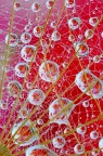 Una gabbia per i colori Una gabbia per i colori