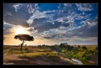 Masai mMara Sunrise Masai mMara Sunrise
