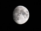 LUNA LUNA
