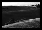 ...chiaroscuro... ...chiaroscuro...