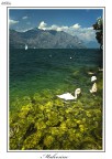 Malcesine_Lago Malcesine_Lago