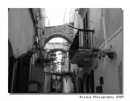 Armonia Armonia