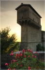 Torre di Abbazia (hdr)