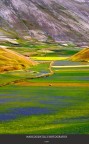 Un fiume di colori Un fiume di colori