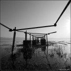 Altro tentativo di BN sul lago Trasimeno.
Critiche e commenti assai graditi.