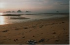 Krabi Krabi