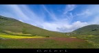 colori colori