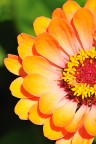 Macro... Macro...