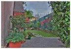 Angolo di giardino Angolo di giardino