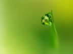 i sensi della natura i sensi della natura