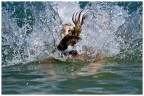 Sott'acqua!!! Sott'acqua!!!