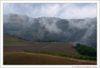 Autunno... (voglia) Autunno... (voglia)