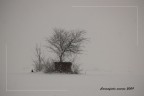 Campagna sotto la neve Campagna sotto la neve