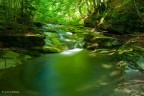 Fiume Fiume