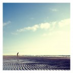 summer summer