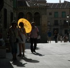 sole sole