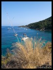 isola del giglio isola del giglio