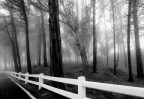 Santander, nebbia Santander, nebbia