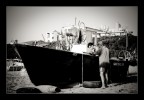 Pescatori! Pescatori!