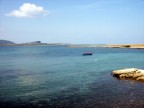 Asinara_1 Asinara_1
