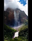 Foto della cascata pi� alta del mondo, nel cuore della foresta amazzonica.