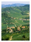 Uno scorcio delle langhe, terre del Barolo e di altri ottimi vini.