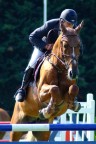 Pinerolo,Concorsi Ippici Internazionali Pinerolo,Concorsi Ippici Internazionali