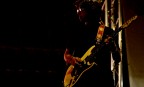 The guitarist The guitarist