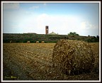 Rotoballomane anche d'autunno Rotoballomane anche d'autunno