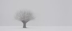 Solitario... tra cielo e terra Solitario... tra cielo e terra