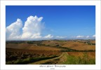 I colli marchigiani I colli marchigiani