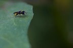 salto nel vuoto..... salto nel vuoto.....