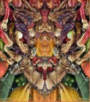 peperonata peperonata