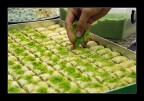 Baklava Baklava