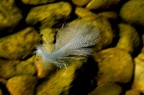 scorrevolmente-macropanning scorrevolmente-macropanning