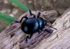prova macro prova macro