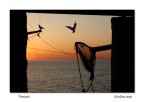 Tramonto Tramonto