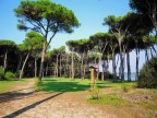 La pineta....total relax! La pineta....total relax!