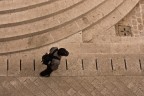 dall'alto dall'alto